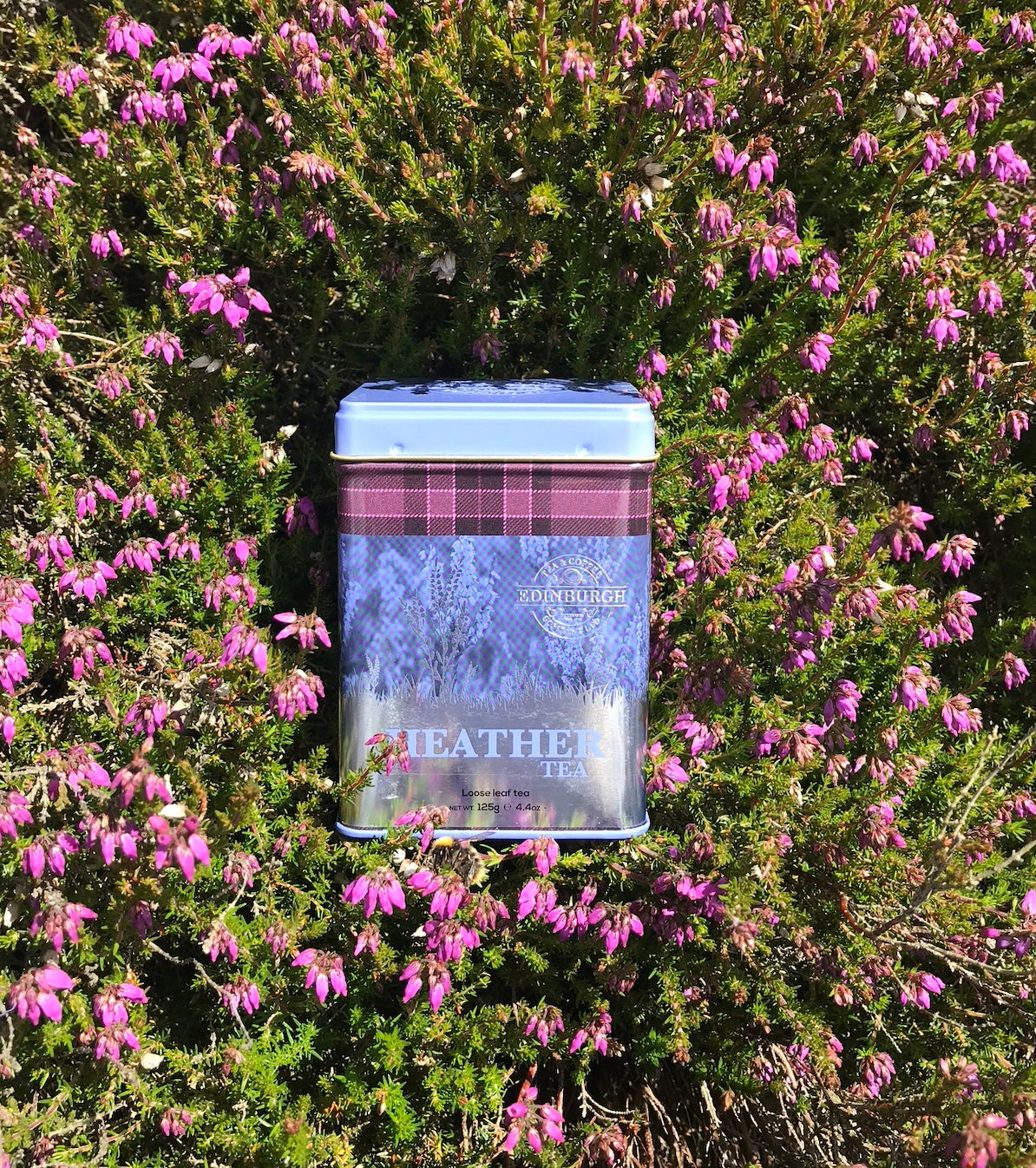 HEATHER