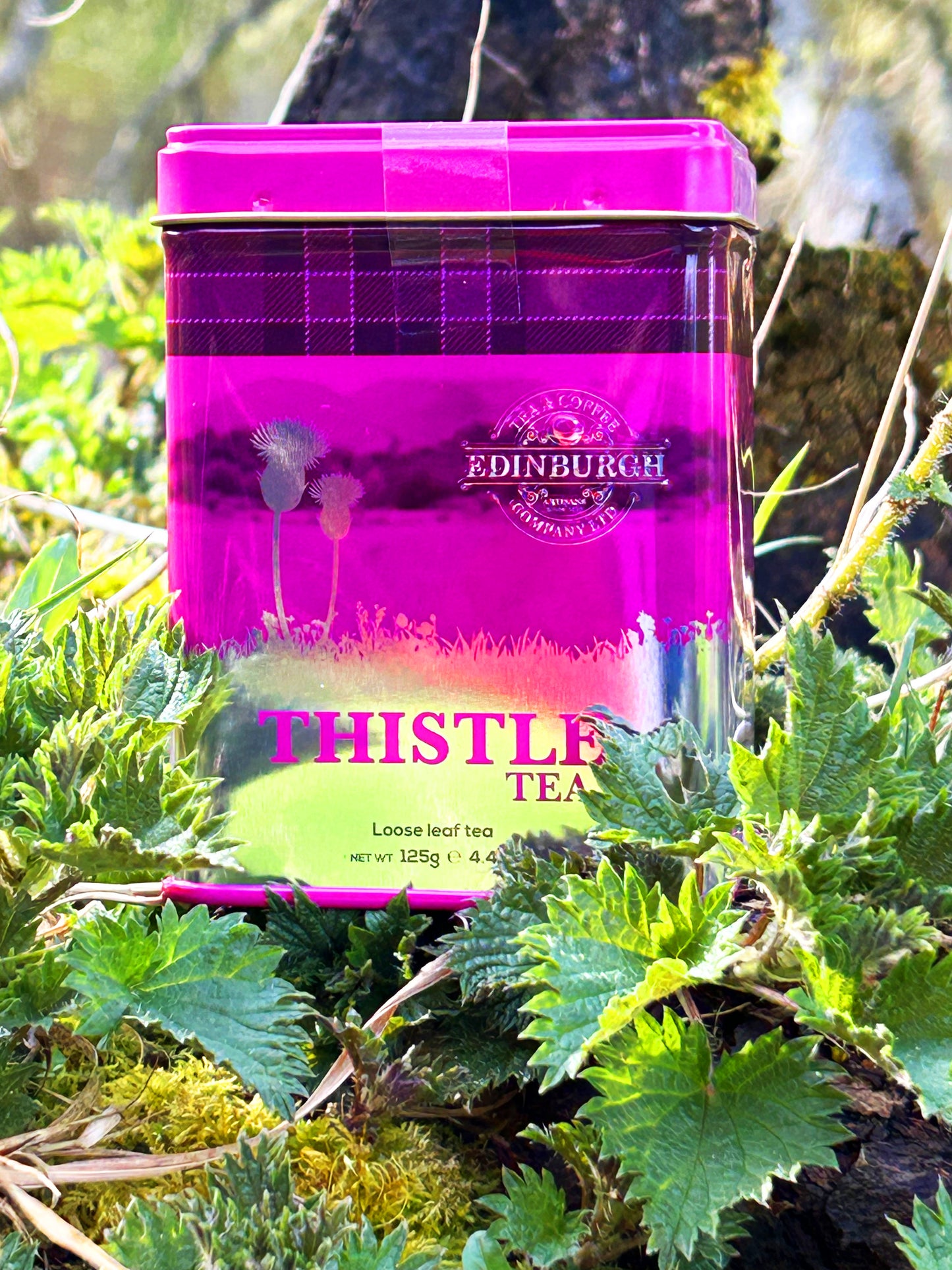THISTLE
